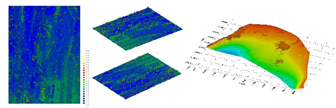 応用事例：植生分布